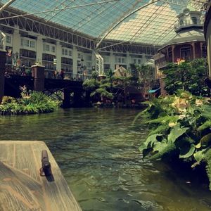 Meet your Posher, Ajohnston